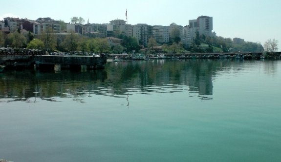 Karadeniz’de Yosun Ölümleri Yaşanıyor
