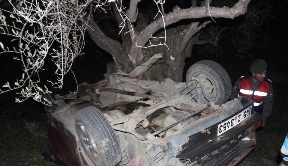 Kaza Sonrası Zeytinlikte Can Pazarı Yaşandı