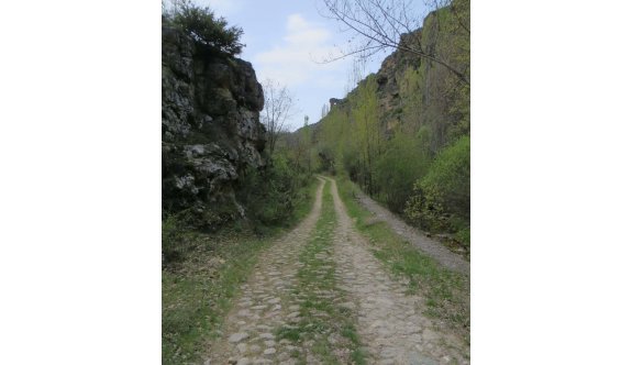 &#039;Kelebekler Vadisi&#039; Türkiye&#039;nin 205. milli parkı oldu