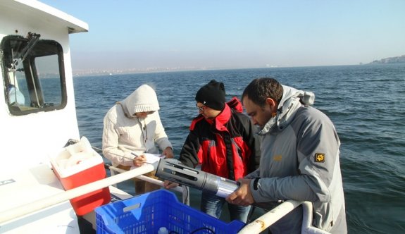 Kocaeli’ndeki halk plajları A kalite