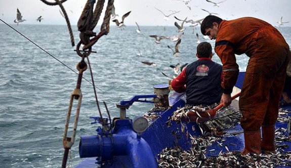 Balığın Yüzde 70’i Karadeniz’de Avlanıyor