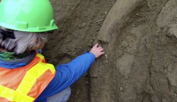 Buz Devri&#039;nin Sırları Çözülüyor