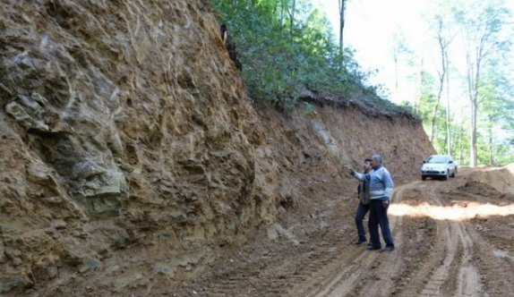 Düzce’de Orman Yolları Hızlı Bir Şekilde Tamamlanıyor