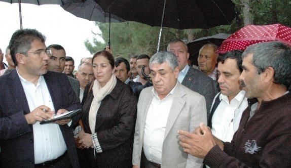 Halk Ağaçlara Sarıldı