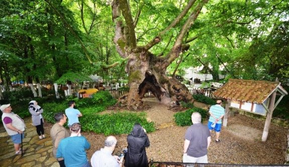 İngilizler Bodrum’un Güzelliklerini Dillerinden Düşürmüyor