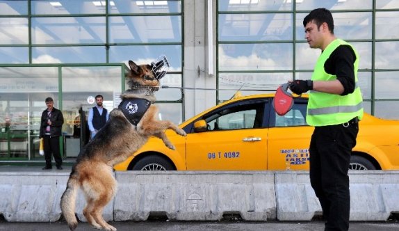 K-9 Köpekleri, AŞTİ’nin Göz Bebeği Oldu