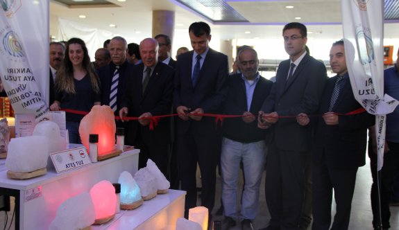 ‘Kaya Tuzu Ürünleri’ sergisi açıldı