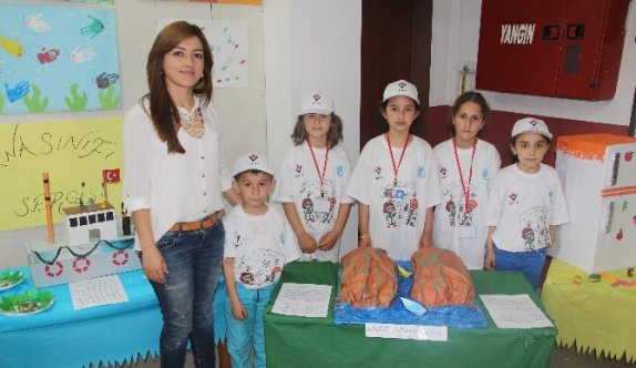 Küçük Bilim İnsanlarından Büyük Projeler