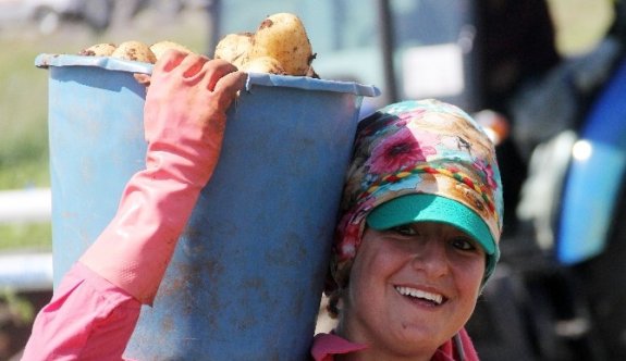 (Özel Haber) 40 Lira İçin 12 Saat Çalışıyorlar