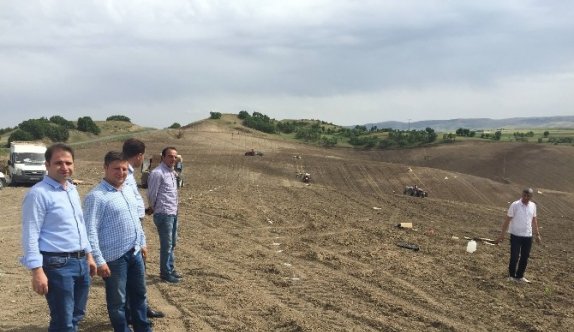 Türkiyenin En Büyük Arbequina Bodur Zeytin Bahçesinin Tesisi Kuruluyor