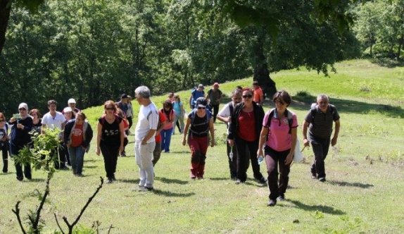 Zonguldak Valiliği 19 Mayıs Gençlik Haftası Kapsamında Harmankaya Şelalerine Doğa Yürüyüşü Düzenliyor