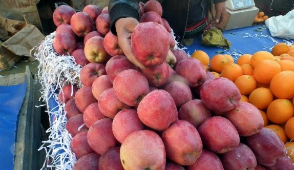 Barış, “Rusya Krizinin Tarımsal İhracata Etkisi Derinleşiyor”
