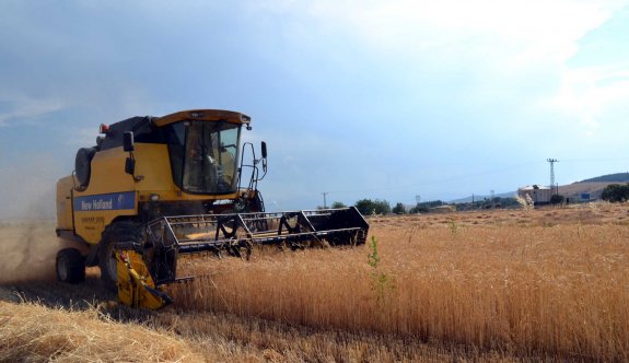 Buğday fiyatlarında artış bekleniyor