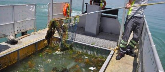 Denizi böyle temizlediler