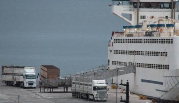 Dev Gemi Turist Yerine, Dana Getirdi