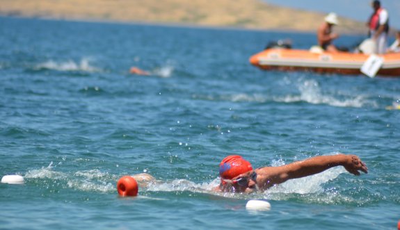 Foça'da Kulaçlar Yarışacak