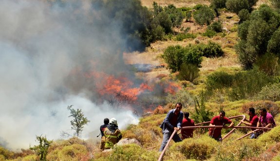 Foça'da orman yangını