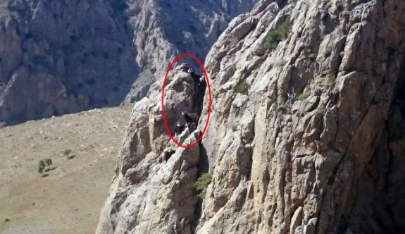 Kayalıklarda Mahsur Kalan Keçileri İtfaiye Kurtardı