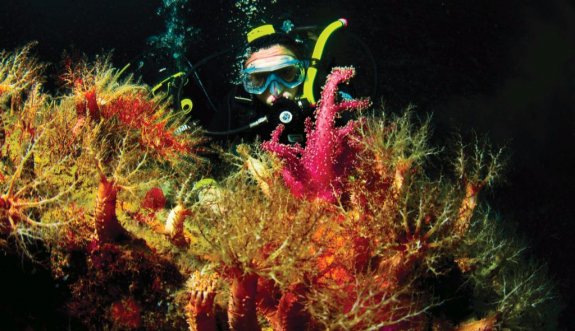 “Marmara’da Hayat Var: Şimdilik-2” Sergisi 18 Haziran&#039;da