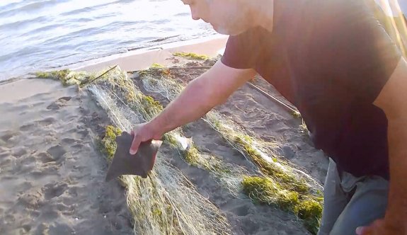 Tarsus'ta denizdeki hayalet ağlar toplandı