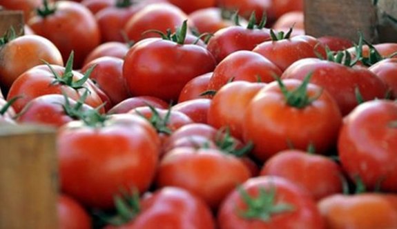 Domates üreticileri Rusya'ya ihracatı bekliyor