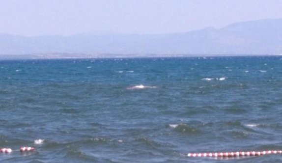 Kayık battı, kayıp şahıs da ölü bulundu