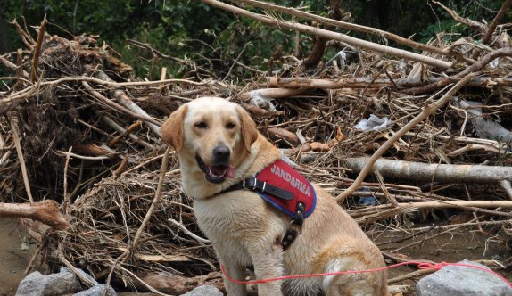 Kayıp vatandaşların cesetlerine hala ulaşılamadı