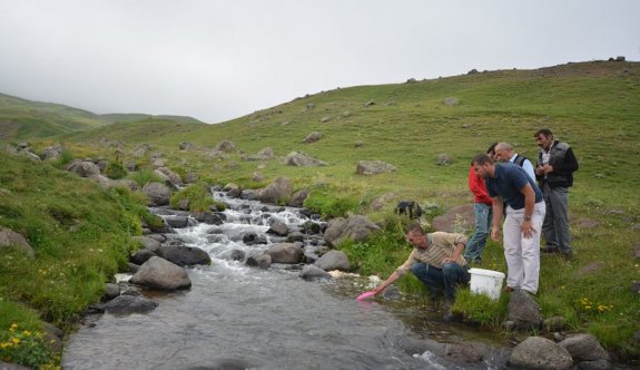 Şavşat Hanlı deresine 20 Bin Alabalık Bırakıldı