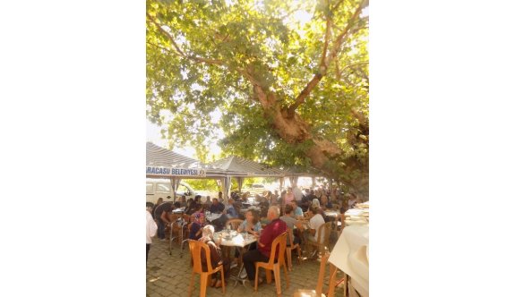 300 yıllık çınarın altında asırlık keşkek hayrı yapıldı