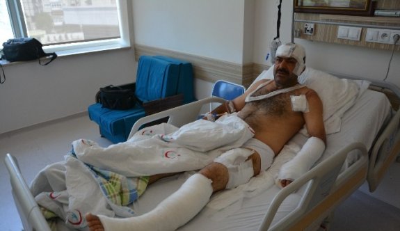 Ayı saldırısına uğrayan balıkçılar olay anını anlattı