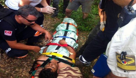 Balık avlamaya giden 2 kişiye ayı saldırdı