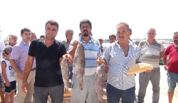 Mersin’de lagos balığının avlanma yasağına tepki