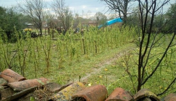 Sağanak yağış  ve fırtına, Kastamonu’da etkili oldu