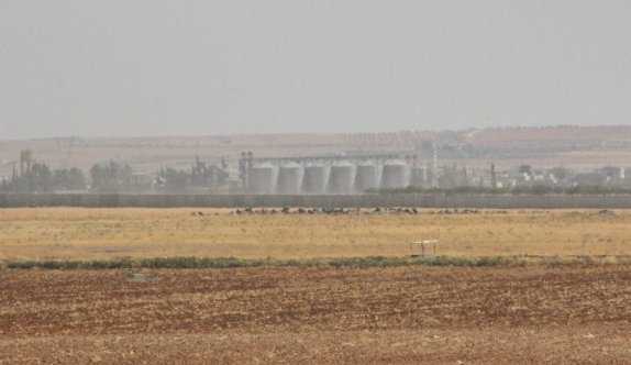 Suriye sınırında sessizlik sürüyor