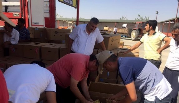 Tütün üreticileri fiyata tepkili