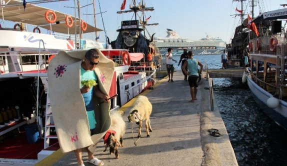 Aydın Aydın kurbanlık koyunlarla lüks yata binip, denize girdi