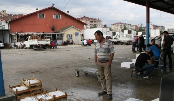 Balık av sezonu açıldı ama...