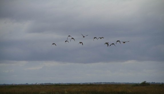 Kuş Cenneti sosyal medyadan takip edilebilecek