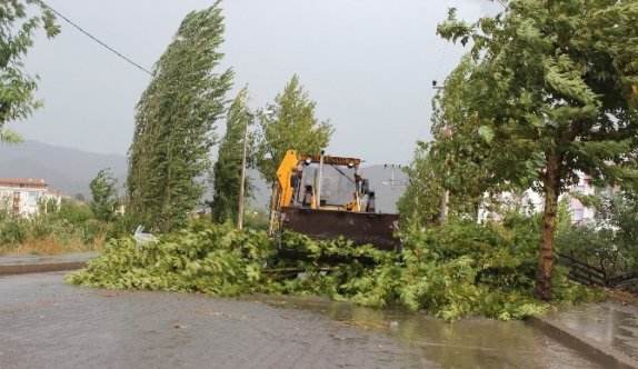 Osmancık’ta fırtına ölüme yol açtı