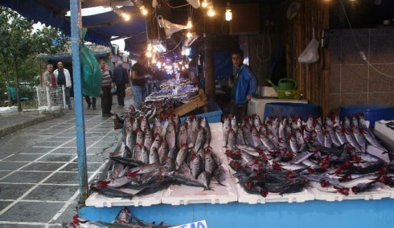 Palamut büyüdü, fiyatı düştü