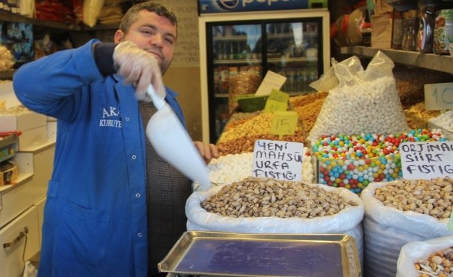 (Özel Haber) Fıstıkta fiyatları kalite yerine mahsulün miktarı belirliyor
