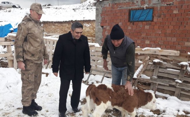 Çalınan 5 hayvan 7 tane olarak geri döndü