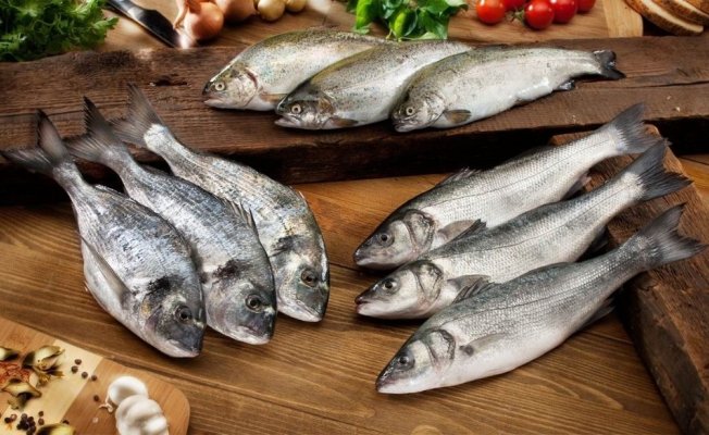 Denizden 160 milyon dolar çıktı