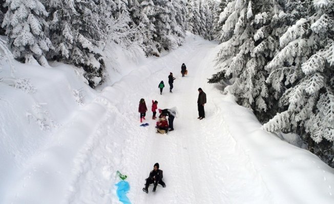 Doğa harikası yaylada piknik ve kayak keyfi