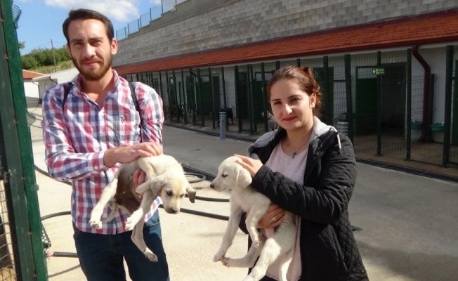 Hayvansever çiftten sahiplenme çağrısı