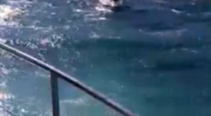 Lüks Yatı Kurtarmak İçin Seferber Oldular