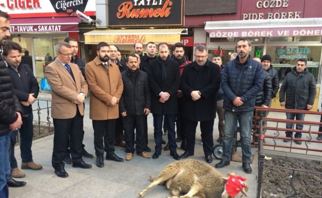 MHP’liler Afrein’deki askerlerimiz için koç kesip dua etti