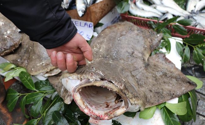 Sadece &#039;bilenin aldığı balık&#039; tezgahta ilgi çekiyor