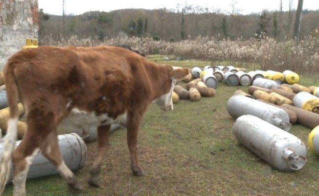 Sovyet tüpleri Abhazya’da paniğe neden oldu
