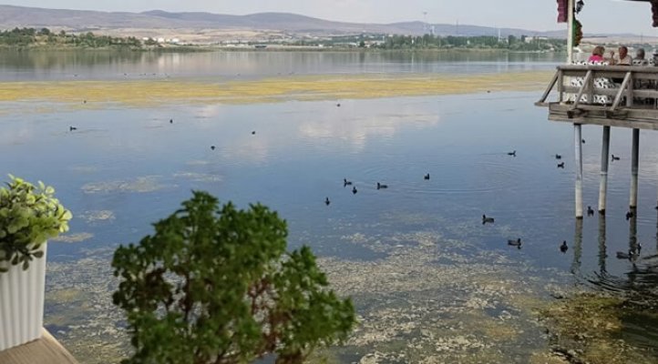 Mogan Gölü eski berraklığına kavuşacak